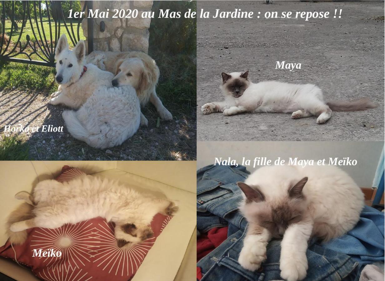 De La Jardine *