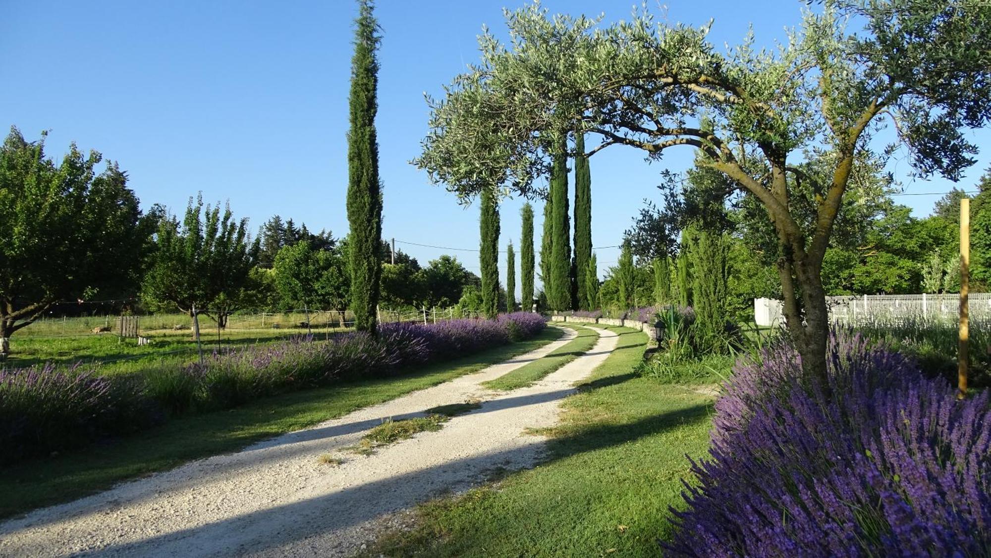 De La Jardine Hébergement de vacances