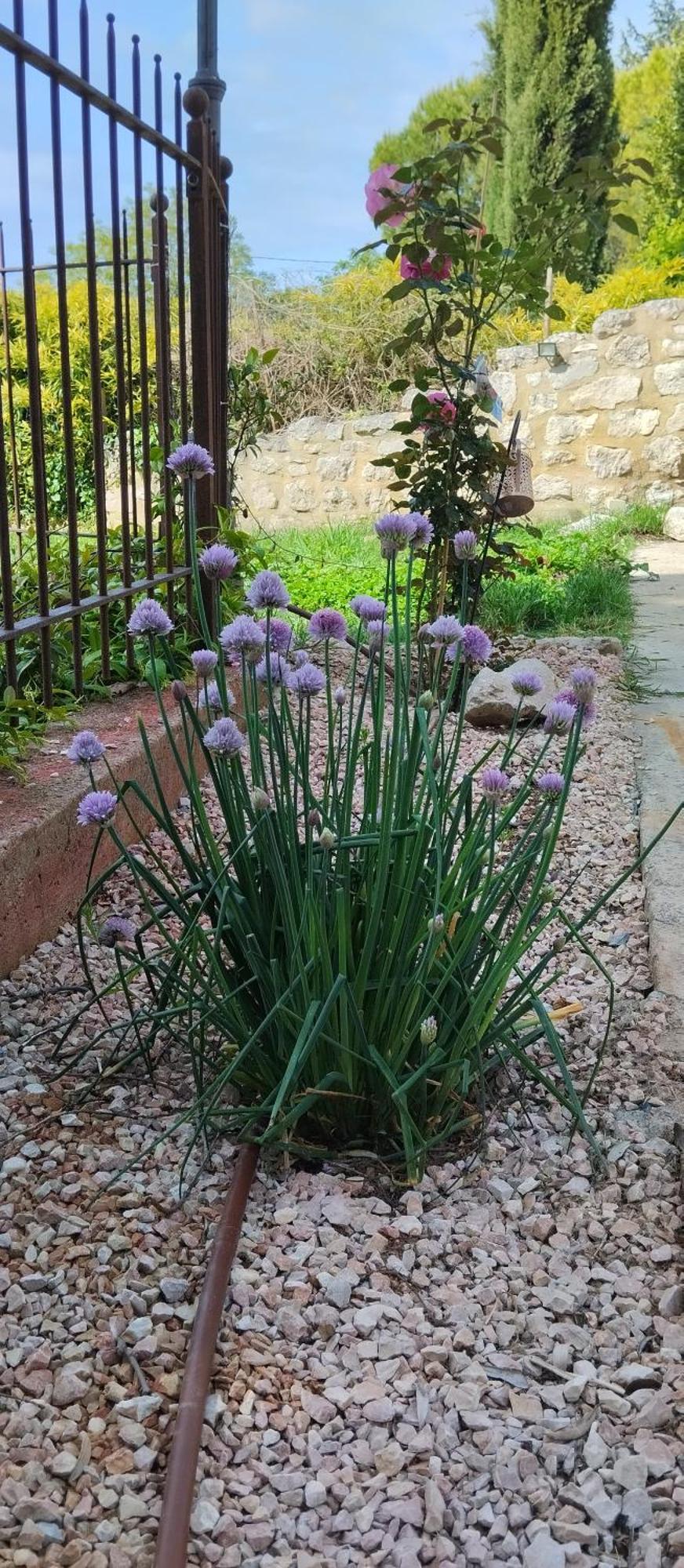 De La Jardine Hébergement de vacances Velleron