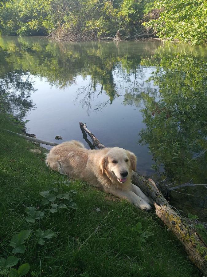 Hébergement de vacances De La Jardine Velleron